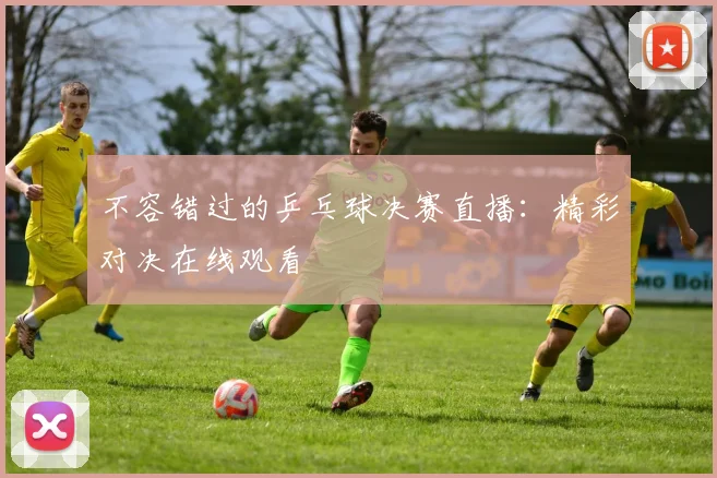 不容错过的乒乓球决赛直播：精彩对决在线观看
